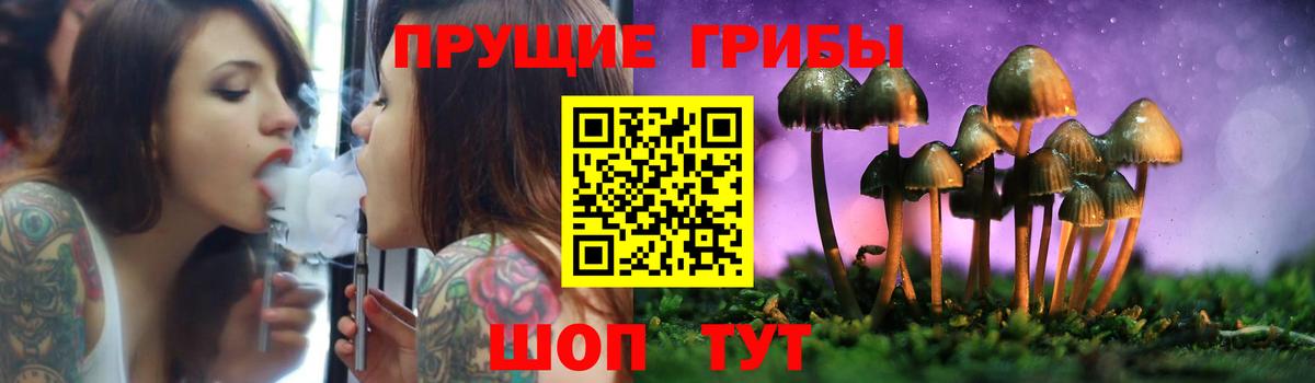 Сосновый Бор  Псилоцибиновые грибы мицелий  Вход с VPN 